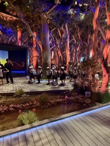 オーストラリア(2)